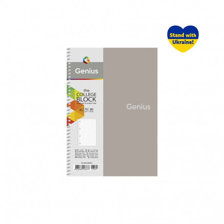 Spiraalköitega kaustik, 80 lehte B5 ruuduline