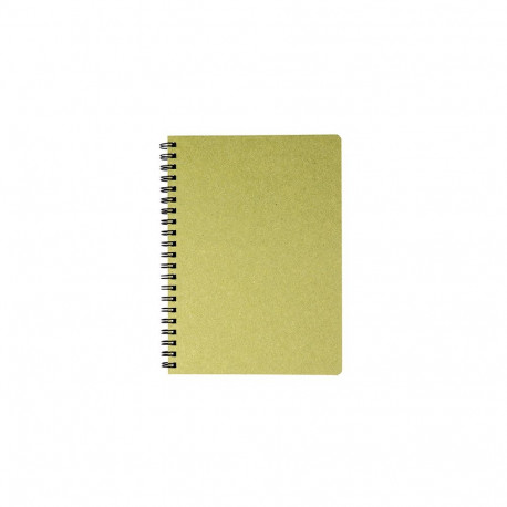 Spiraalköitega kaustik TIMER A5, 224 lehte, heleroheline, ruuduline