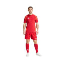 Adidas Tiro 24 Competition Training M shorts IK2245 (XL)