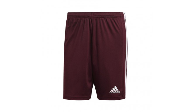 Adidas Squadra 21 Short M GN8083 (S)