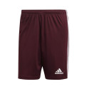 Adidas Squadra 21 Short M GN8083 (XXL)