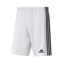 Adidas Squadra 21 Short M GN5773 (M)