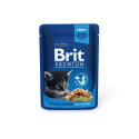 Brit Premium Chicken Chunks in Gravy wet kitten food 100g