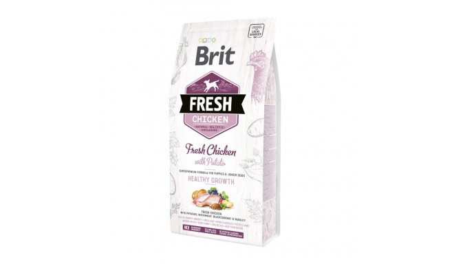 Brit Fresh Chicken with Potato Puppy koeratoit 2,5 kg