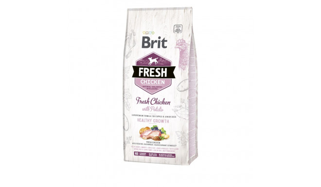 Brit Fresh Chicken with Potato complete food for puppies 12 kg