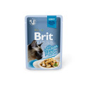 Brit Premium Cat Delicate Chicken Fillets in Gravy wet cat food 85g