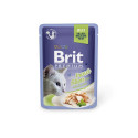 Brit Premium Cat Delicate Trout Fillets in Jelly влажный корм для кошек 85г