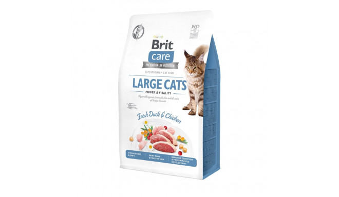 Brit Care Cat Grain-Free Large Cats Power Vitality kassitoit 0,4 kg