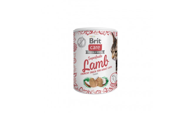 Brit Care Cat Snack SuperFruits Lamb kassimaius lambalihaga 100g