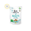 Brit Care Insects with Tuna närimismaius koertele 200g