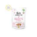 Brit Care Insects with Whey närimismaius kutsikatele 200g