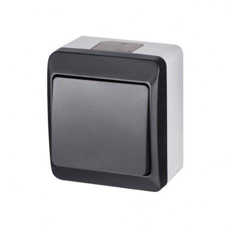 TWO WAY lüliti HERMES antratsiit IP44 0331-07