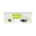 Windaus 100mm glass Petri dish with lid