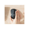 Logitech juhtmevaba klaviatuur + hiir MK295 Silent Combo US INTL, graphite