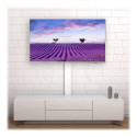 TECHLY Super Slim Floor Stand for LCD / LED / Plasma TV from 32 inch to 70inch