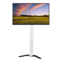 TECHLY Super Slim Floor Stand for LCD / LED / Plasma TV from 32 inch to 70inch