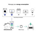 Võimsuse summutaja Power Boost Wallbox 100A/EM112