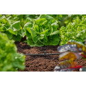 Gardena Micro-Drip-System T-piece for spray nozzles/end drippers, 4.6mm (3/16), connection (dark gre