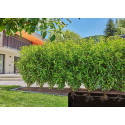 Gardena Micro-Drip-System drip line for bushes/hedges 1.6 l/h, 25 meters, dripper (black, model 2023
