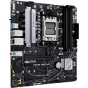 Asus mainboard Prime A620M-A-CSM AM5