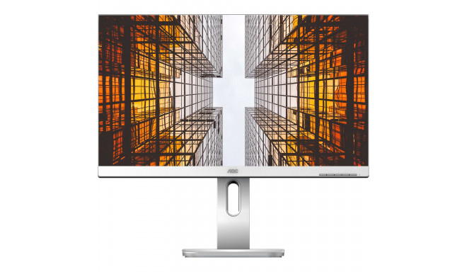 AOC X24P1/GR, LED monitor - 24 -  silver, WUXGA, 60 Hz, HDMI, IPS