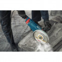 Bosch angle grinder GWS 24-230 JZ Professional (blue, 2,400 watts)