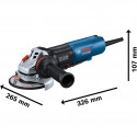 Bosch angle grinder GWS 17-125 SB Professional (blue/black, 1,700 watts)