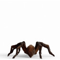 Schleich Wizarding World Aragog, toy figure