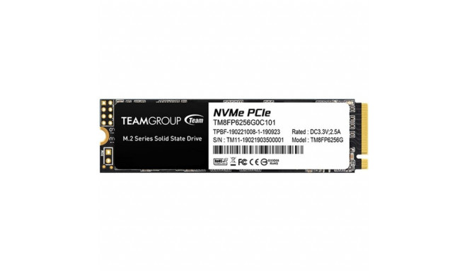 Team Group MP33 256GB, SSD (PCIe 3.0 x4, NVMe 1.3, M.2 2280)