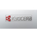 KYOCERA ECOSYS P3150dn 1200 x 1200 DPI A4