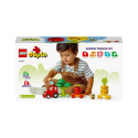 FRUIT AND VEGETABLE TRACTOR 10982