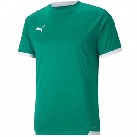 Puma meeste särk teamLIGA Jersey 704917 05 M, roheline