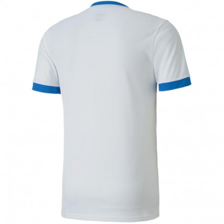 Puma meeste särk teamGOAL 23 Jersey 704171 12 M, valge-sinine