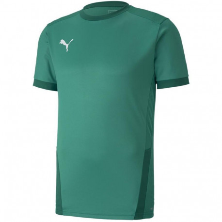 Puma meeste spordisärk teamGOAL 23 Jersey 704171 05 L, roheline
