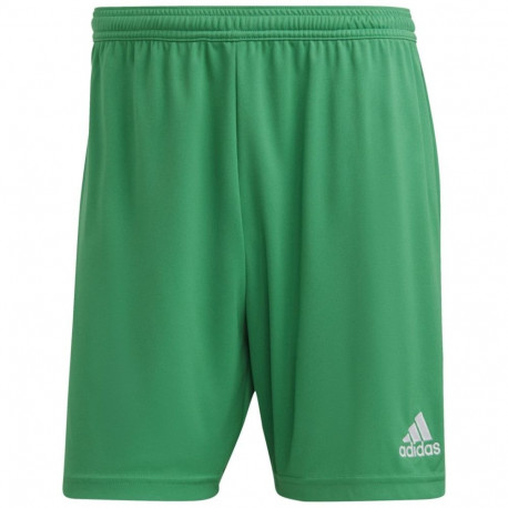 adidas meeste lühikesed püksid Entrada 22 IC7405 M, rohelised