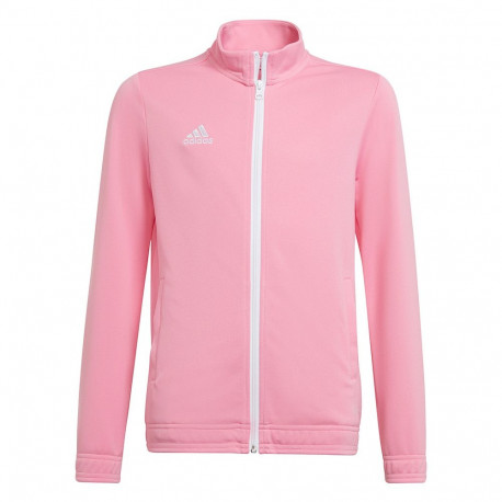 Adidas laste dressipluus Entrada 22 Track Jacket HC5035 164cm, roosa