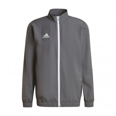 Adidas meeste pusa Entrada 22 Presentation Jacket H57535 S, hall