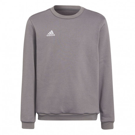 Adidas laste pusa Entrada 22 Sweat Top H57477 152cm, hall