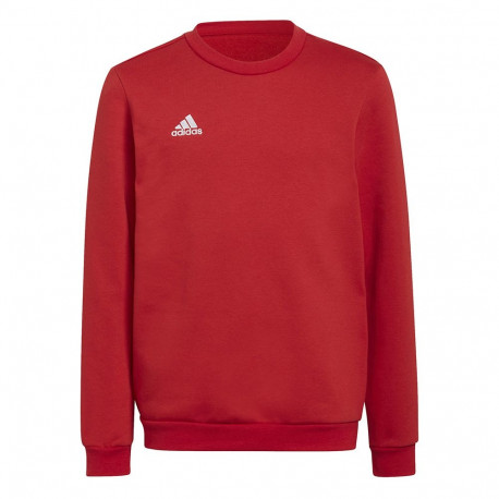 adidas laste pusa Entrada 22 Sweat Top H57473 128cm, punane