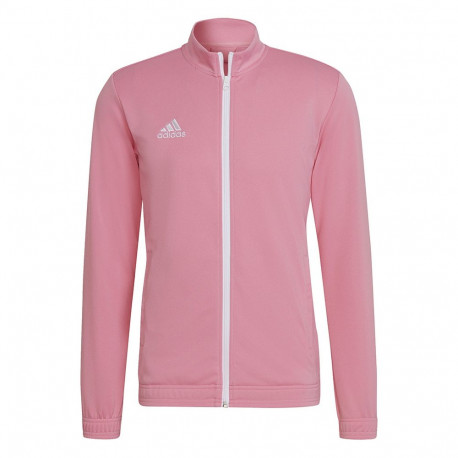 Adidas meeste pusa Entrada 22 HC5084 S, roosa