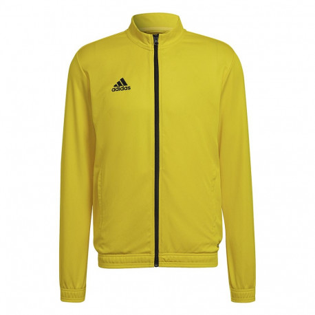 Adidas meeste treeningjakk Entrada 22 Track Jacket HI2134 2XL, kollane