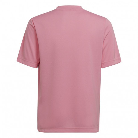 Adidas laste särk Entrada 22 Graphic Jersey HC2632 128cm, roosa-must
