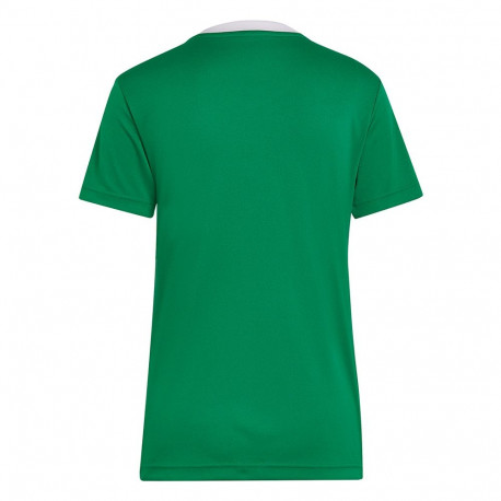 Koszulka damska adidas Entrada 22 Jersey zielona HI2124 XS