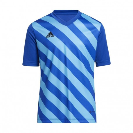 Adidas laste särk Entrada 22 Graphic Jersey HF0130 116cm, sinine