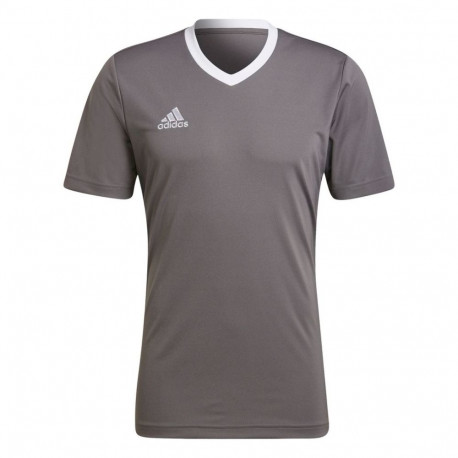 adidas meeste särk Entrada 22 Jersey HE1574 S, hall