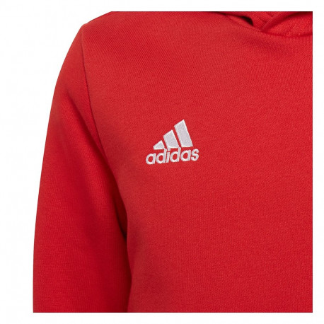 Adidas laste pusa Entrada 22 Hoody H57566 164cm, punane