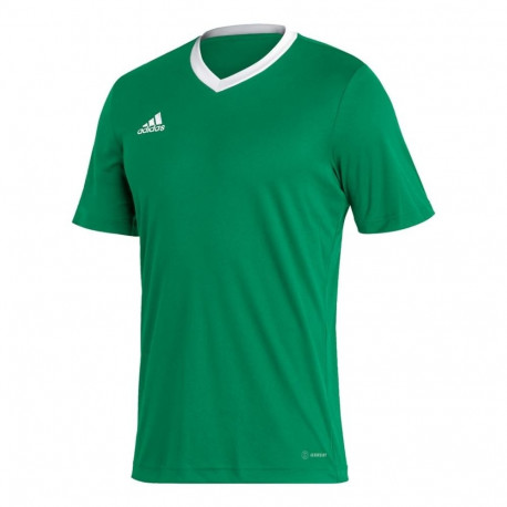 Adidas meeste särk Entrada 22 Jersey HI2123 L, roheline