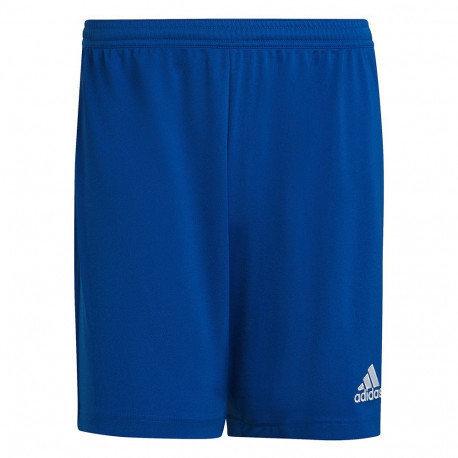 Adidas meeste lühikesed püksid Entrada 22 HG6294 S, sinine