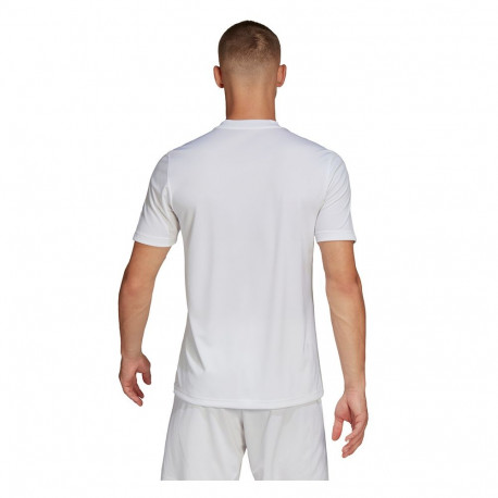 Koszulka męska adidas Entrada 22 Graphic Jersey biało-szara HF0129 2XL