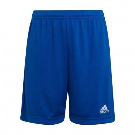 adidas laste lühikesed püksid Entrada 22 HG6291 140cm, sinine